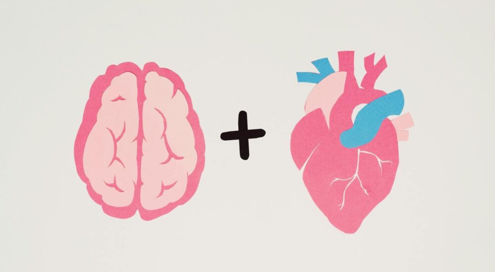 Faranjit neden olur - medikal atlas stilinde anatomik kesit illustrasyonu
