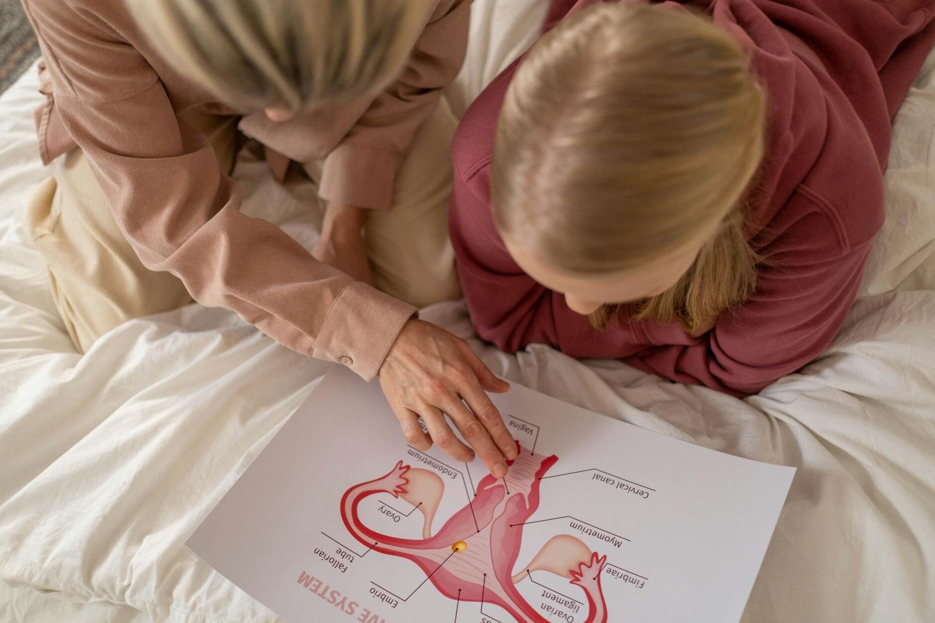 Cocuk kbb - medikal atlas stilinde anatomik kesit illustrasyonu